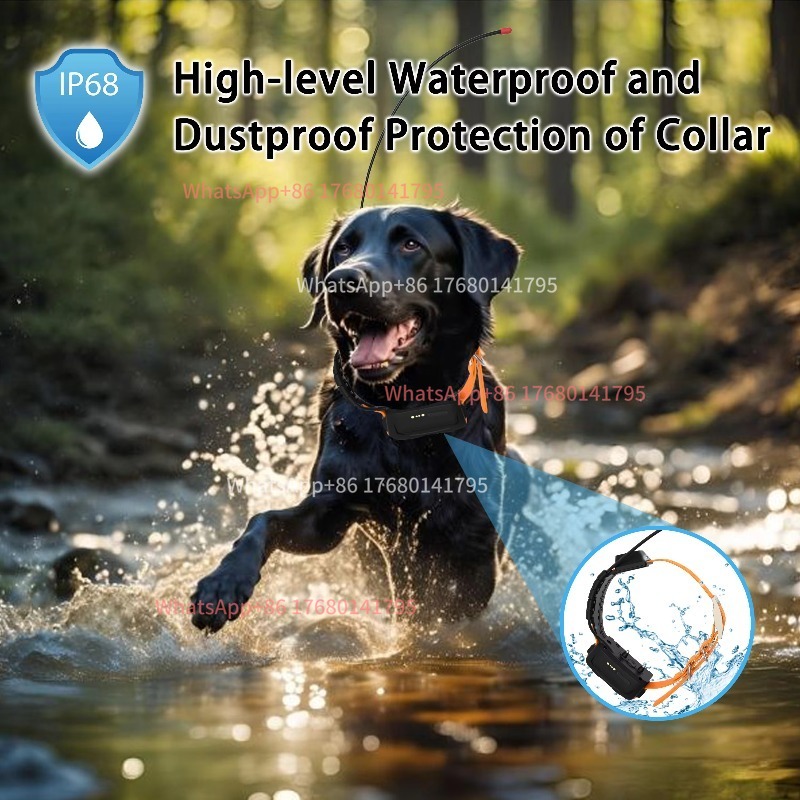 Kalung Pelacak Anjing Pemburu  - Outdoor Power Hours ulasan dan harga